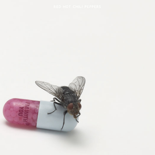 Copertina I'm With You