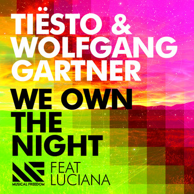 Copertina We Own The Night