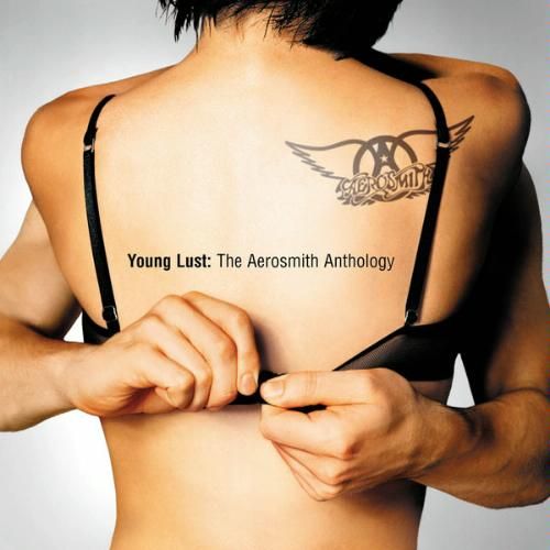 Cover Album Young Lust: The Aerosmith Anthology