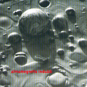 Cover Album Indubb 
