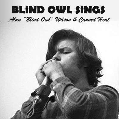 Copertina The Blind Owl