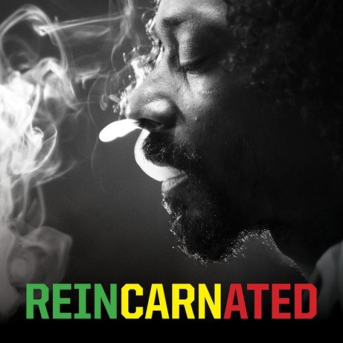 Copertina Reincarnated