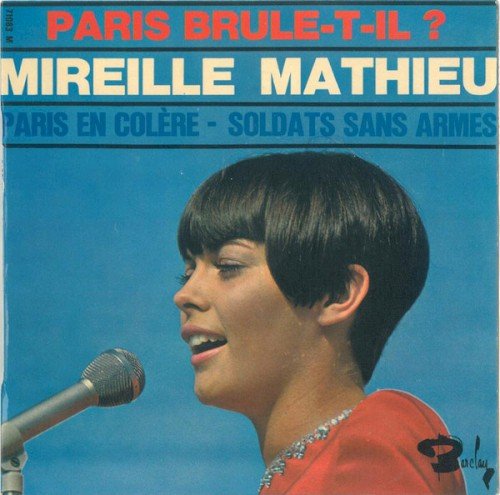 Copertina Paris brule-t-il?