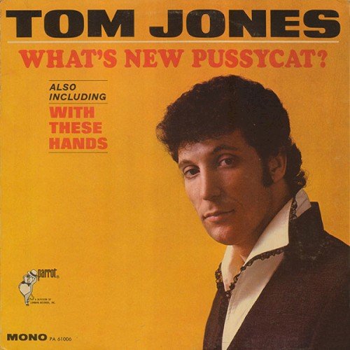 Copertina What's New Pussycat?