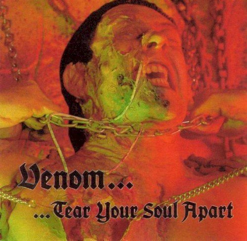 Copertina Tear Your Soul Apart