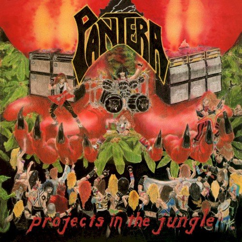 Copertina Projects in the Jungle