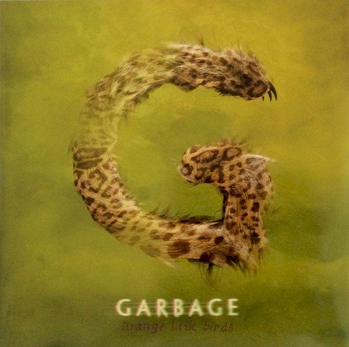 Copertina Strange Little Birds