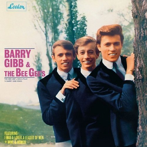 Copertina The Bee Gees Sing and Play 14 Barry Gibb Songs