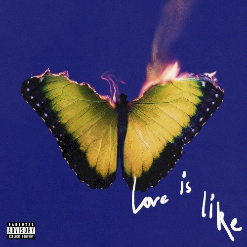 Copertina Love Is Like