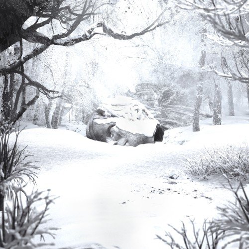 Copertina SZNZ: Winter