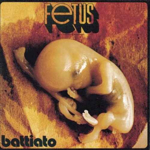 Copertina Fetus