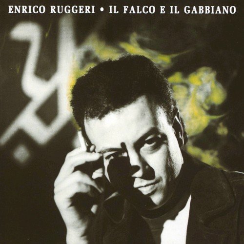 Copertina Il falco e il gabbiano
