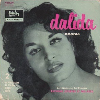 Copertina 2 – La Violeterra