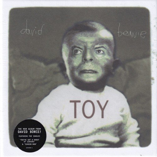 Copertina Toy