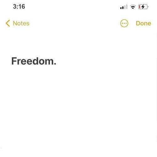 Copertina Freedom.