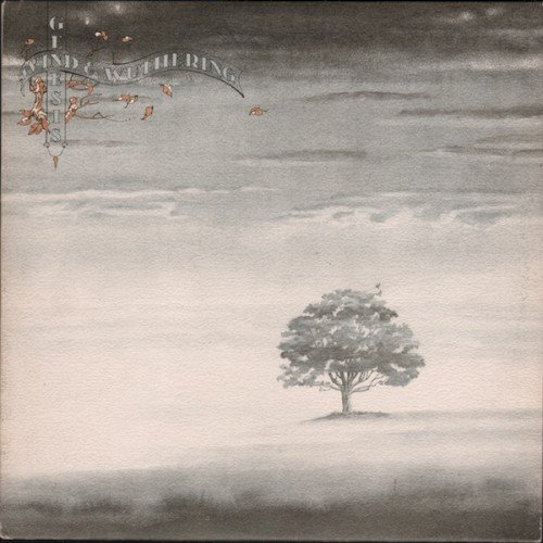 Copertina Wind & Wuthering