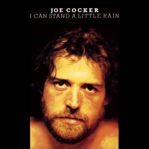 Copertina I Can Stand a Little Rain