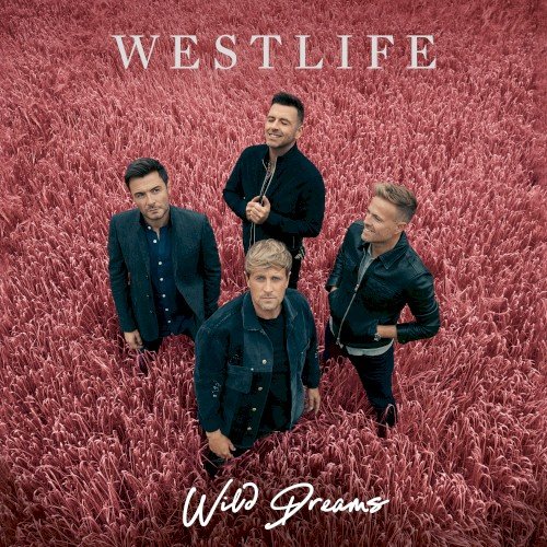 Copertina Wild Dreams