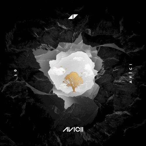 Copertina AVĪCI (01)