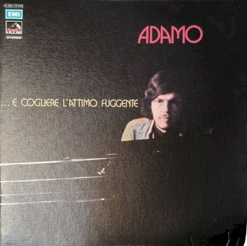 Copertina … E cogliere l’attimo fuggente