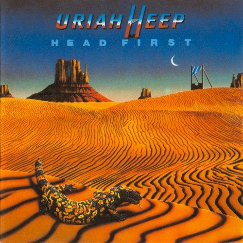 Copertina Head First