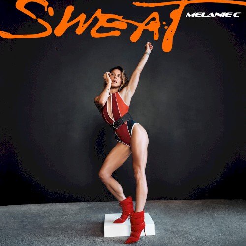 Copertina Attitude