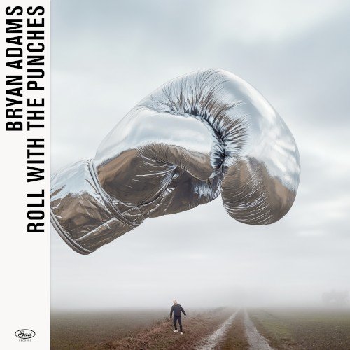 Copertina Roll With the Punches