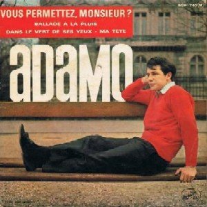 Copertina Vous permettez, monsieur ?
