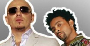 Fired Up Shaggy Pitbull