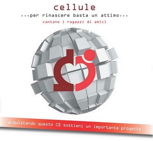 cellule i ragazzi di amici